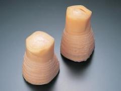 穂付筍水煮13-16 1kg   【冷蔵】