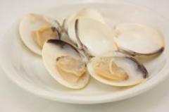 殻付ボイル蛤 40/60 500g×10袋   【冷凍】