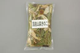 国産山菜きのこ 500g ×20袋   【常温】